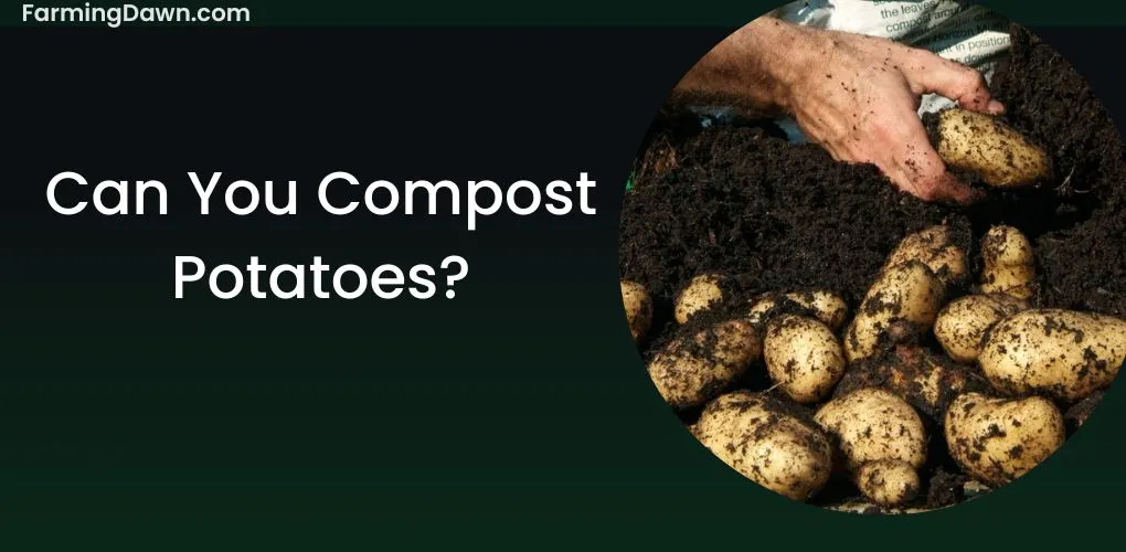 Can you Compost Potatoes