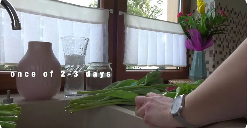 How long do tulips last