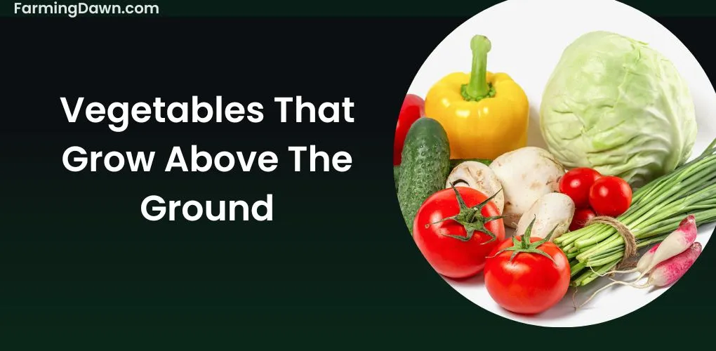 Above Ground Vegetables
