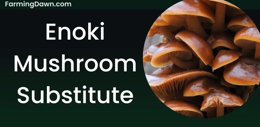 enoki mushroom substitute