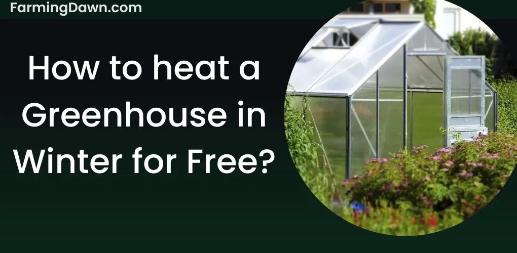 how to heat a greenhouse in winter for free