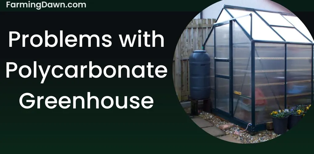 problems with polycarbonate greenhouses