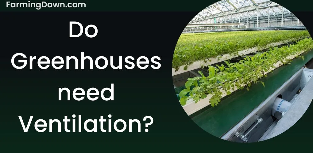 do greenhouses need ventilation