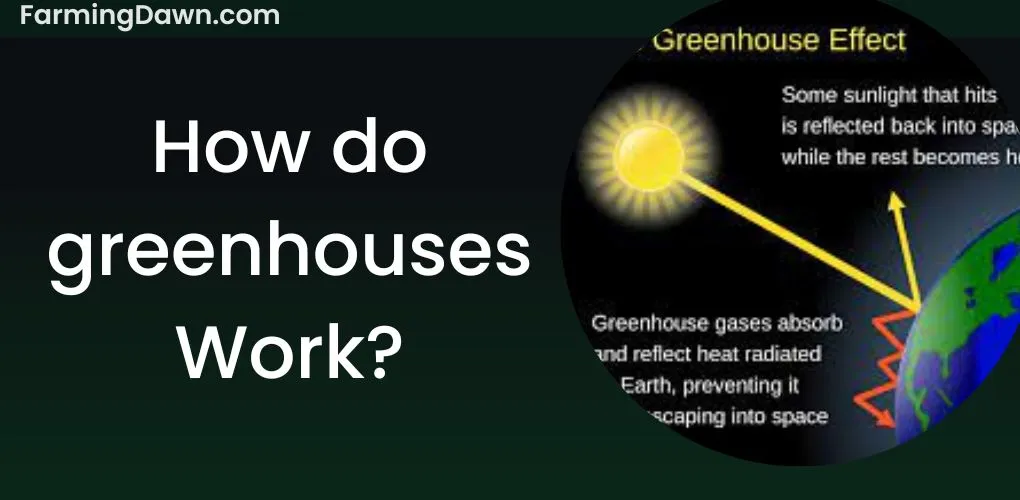 how does greenhouse work