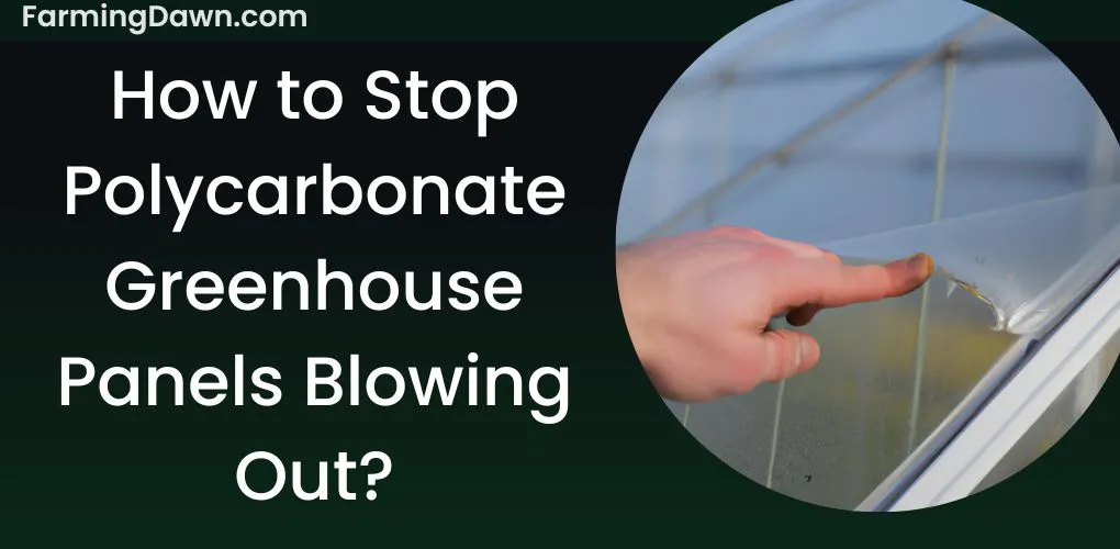 how to stop polycarbonate greenhouse panels blowing out
