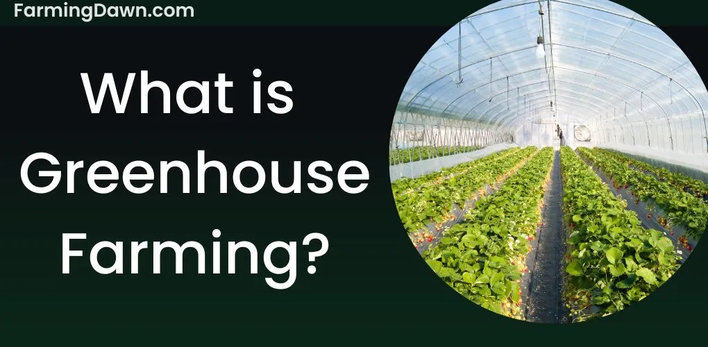 what is greenhouse farming