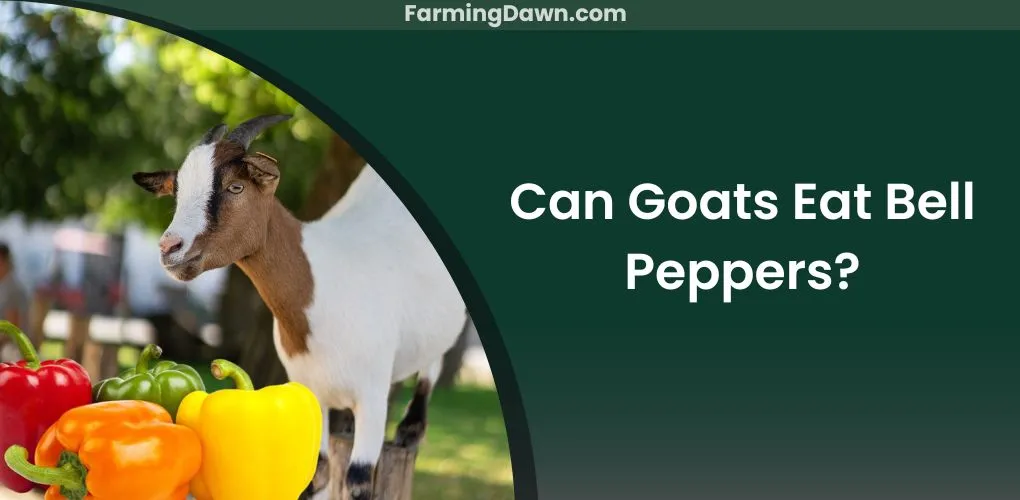 can goats eat bell peppers
