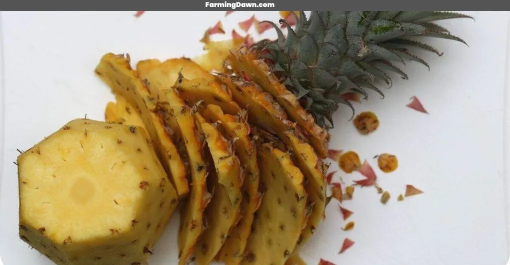 pineapple peels
