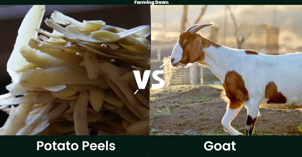 potato peels vs goat