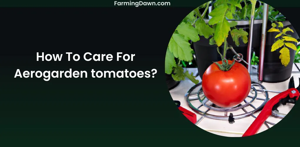 How To Care For Aerogarden Tomatoes