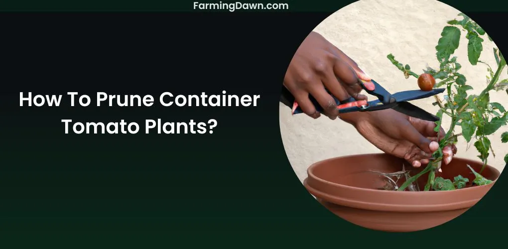 How To Prune Container Tomato Plants