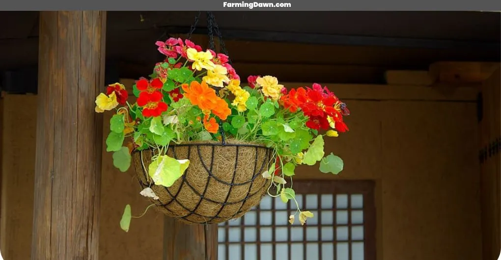 hanging outdoor plant stand ideas