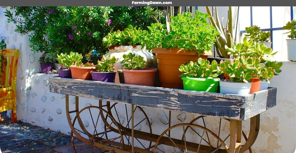homemade diy outdoor plant stand ideas