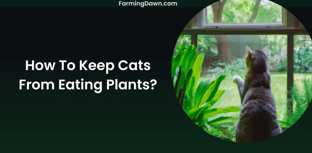 how to keep cats from eating plants